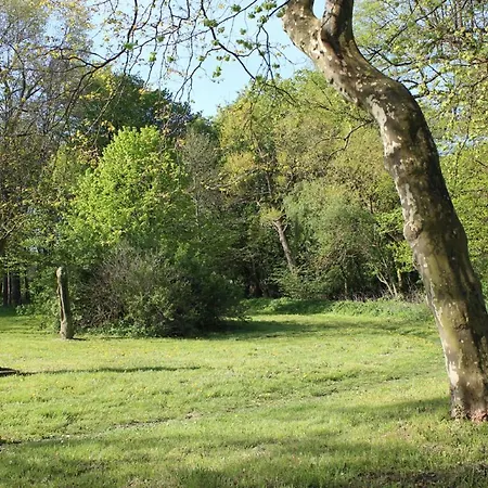 Herrenhaus App.1 Blengow
